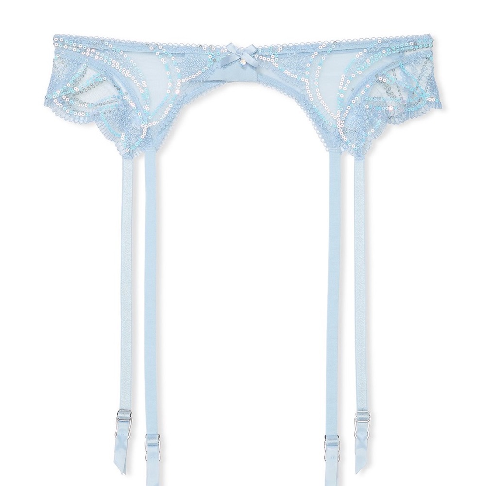 Victoria’s Secret DREAM ANGELS Iridescent Embroidery Garter Belt